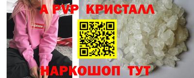 амф Сланцы