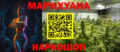 сатива Камышлов
