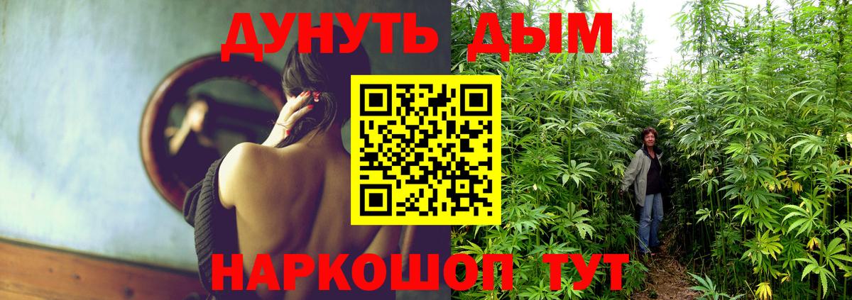 Конопля VHQ Рубцовск